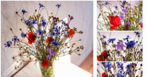 SZYJNIA: Chwastom chwała!