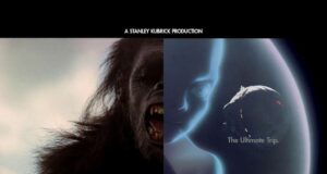 KOCIA KOŁYSKA: Prywatna odyseja czyli wpis ekshibicjonistyczny