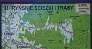 DUE – WINO I SZTUKA: Wino i grzyby