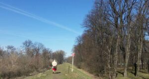 DZIEŃ W NOWYM SĄCZU: 23 marca 2015