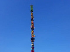 Palma na Rynku już stoi