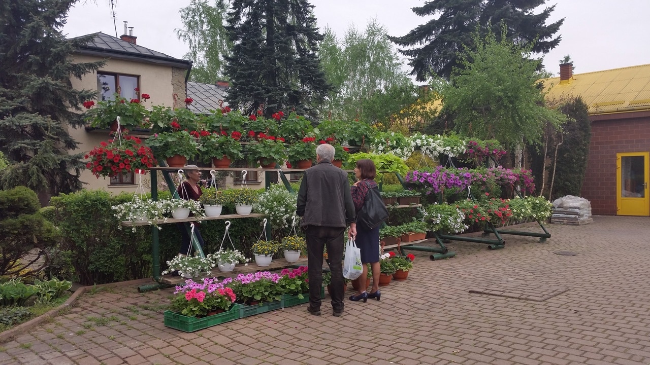 W centrum ogrodniczym przy ul. Tarnowskiej w Nowym Sączu