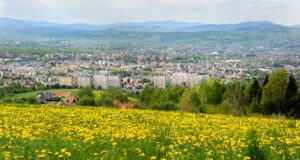 Panorama Nowego Sącza - widok z ulicy Jodłowej