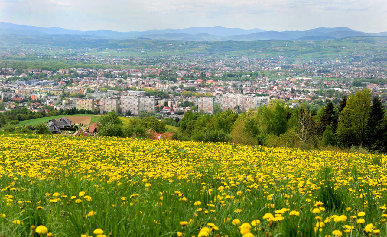 Panorama Nowego Sącza - widok z ulicy Jodłowej, rok 2015