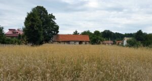 DZIEŃ W NOWYM SĄCZU: 27 lipca 2015