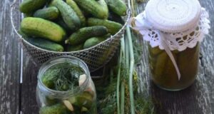 APETYCZNA BABECZKA: Ogórki kiszone małosolne na zimę