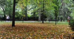 DZIEŃ W NOWYM SĄCZU: 30 września 2015