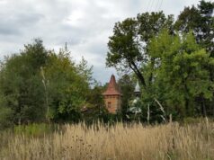 Ośrodek Dziedzictwa Kultury Niematerialnej zastąpi szpitalny oddział