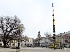 Palma przed ratuszem już stoi