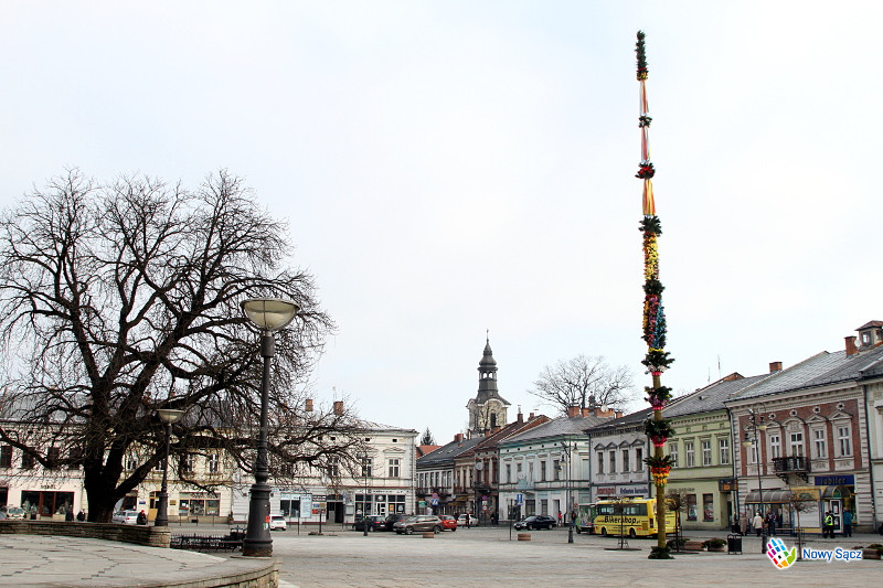 palma na rynku w Nowym Sączu