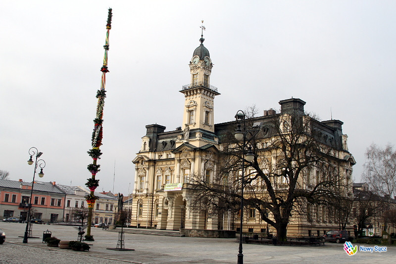 palma pod ratuszem, na rynku Nowego Sącz