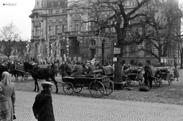 Niedziela Palmowa w Nowym Sączu - lata 50.