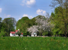 DZIEŃ W NOWYM SĄCZU: 4 maja 2016