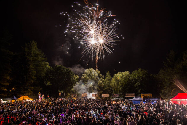 Imieniny Nowego Sącza 2016 - Park Strzelecki