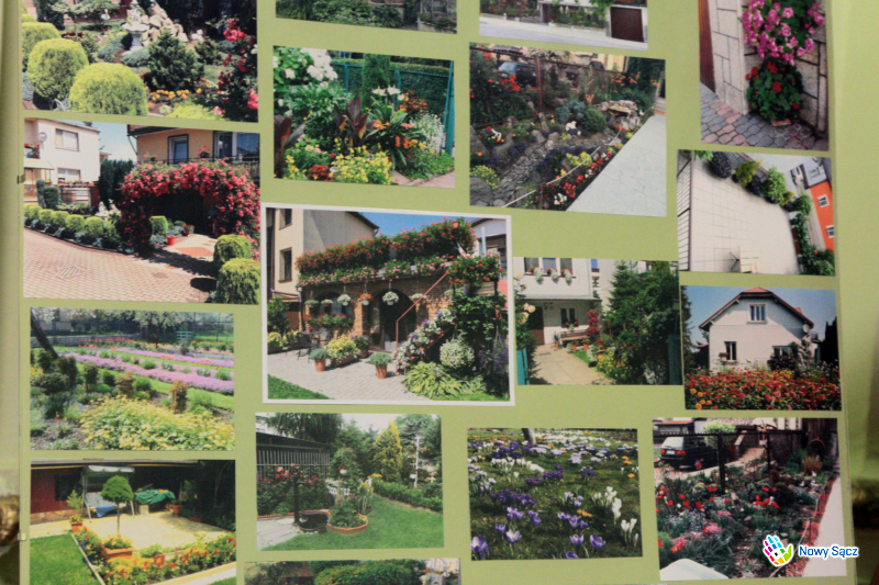 konkurs Nowy Sącz miastem kwiatów i zieleni 2016