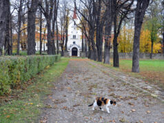 DZIEŃ W NOWYM SĄCZU: 27 października 2016