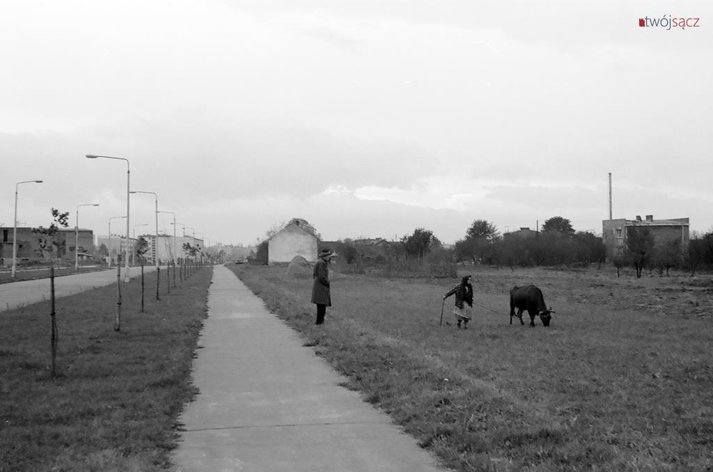 Nowy Sącz ul. Barska w połowie lat 70.