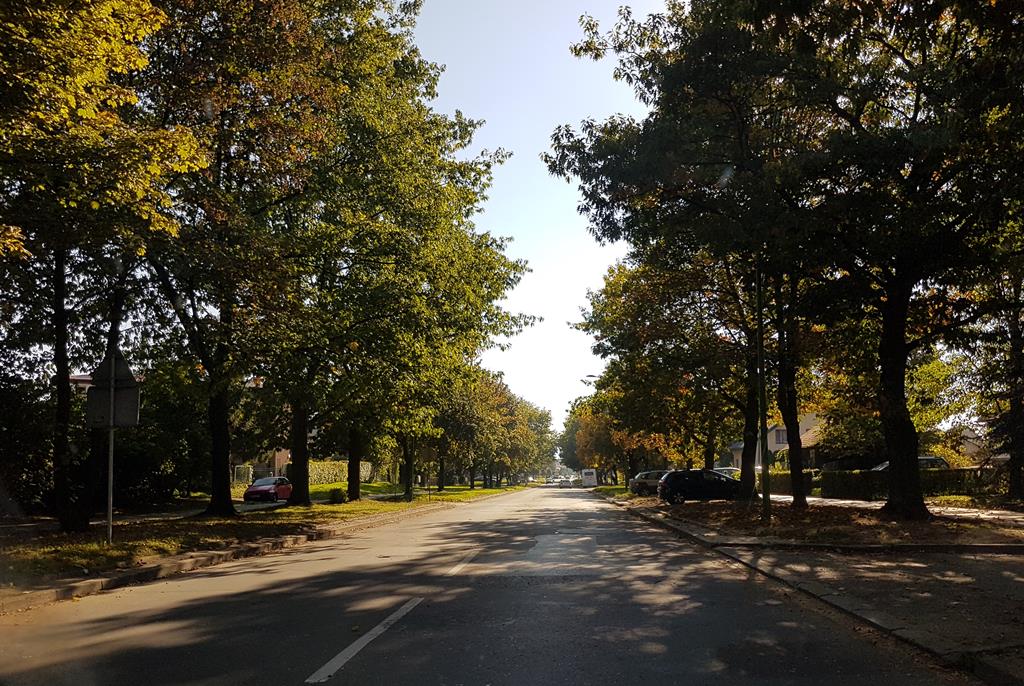 Nowy Sącz ul. Barska