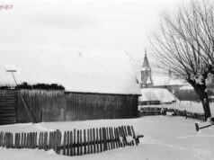 Sądeckie osiedla: Biegonice