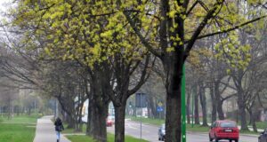 DZIEŃ W NOWYM SĄCZU: 26 kwietnia 2017