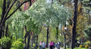 DZIEŃ W NOWYM SĄCZU: 1 maja 2017 Na Plantach w Nowym Sączu