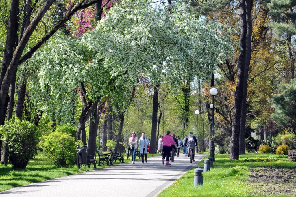 spacerujący na nowosądeckich plantach