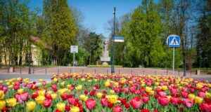 wiosenny Nowy Sącz 2018