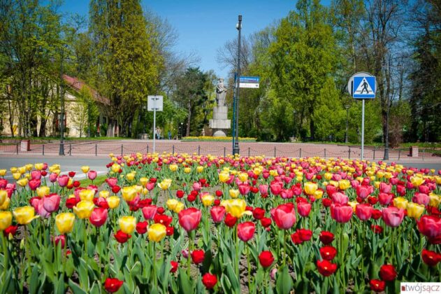 wiosenny Nowy Sącz 2018