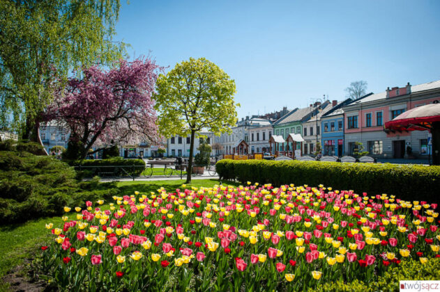wiosenny Nowy Sącz. kwiecień 2018