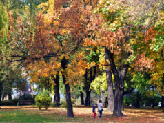 DZIEŃ W NOWYM SĄCZU: 7 października 2018