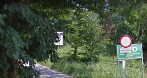 Las Falkowski jako studium przypadku planowania partycypacyjnego