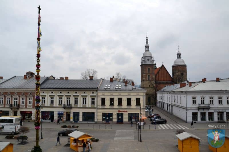 palma w Nowym Sączu