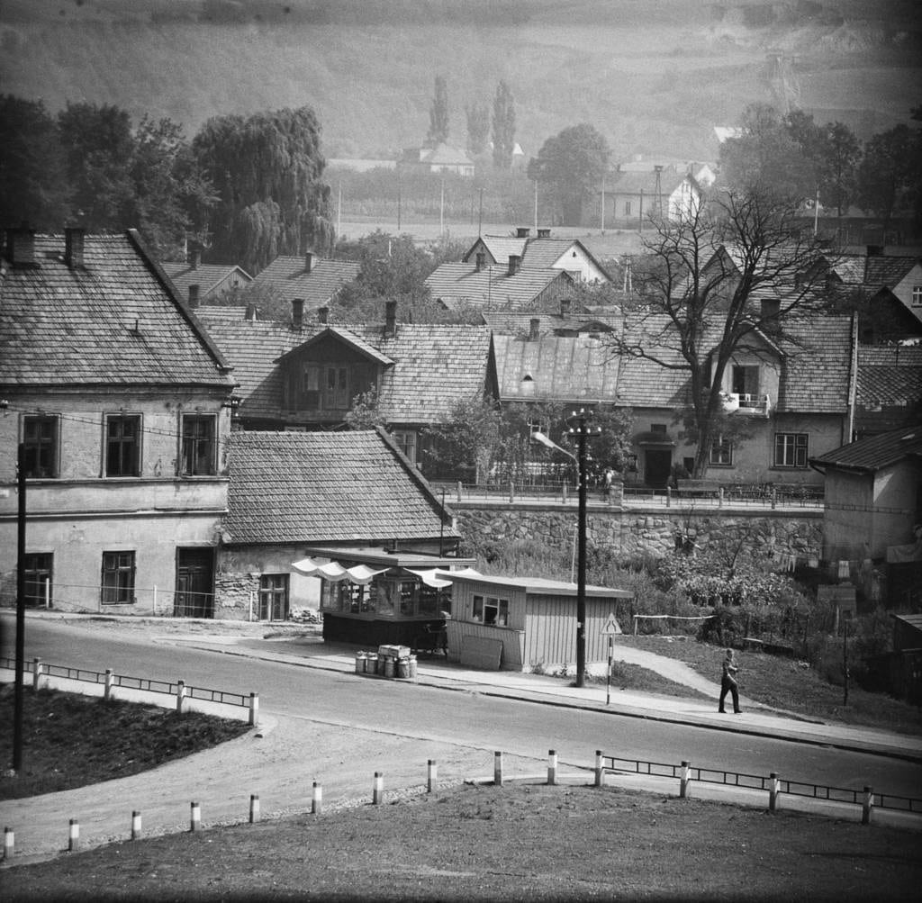Widok na ulicę Piotra Skargi, w głębi fragment bulwaru nad rzeką Kamienica i zabudowania ul. Kraszewskiego. Fot. Zofia Rydet. © Zofia Augustyńska-Martyniak