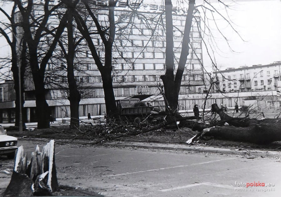 huragan 1976 Nowy Sącz, połamane drzewa na Al. Batorego