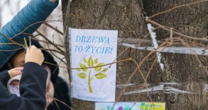 Mieszkańcy osiedla Nawojowska: Chcemy parku