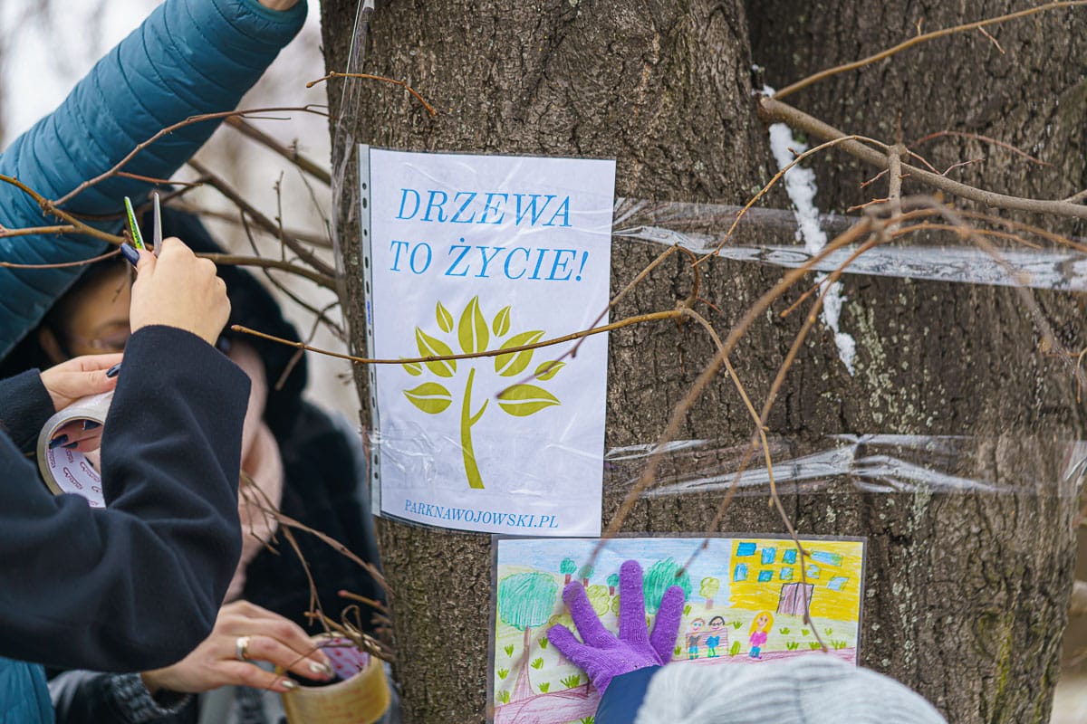mieszkańcy chcą parku nawojowskiego