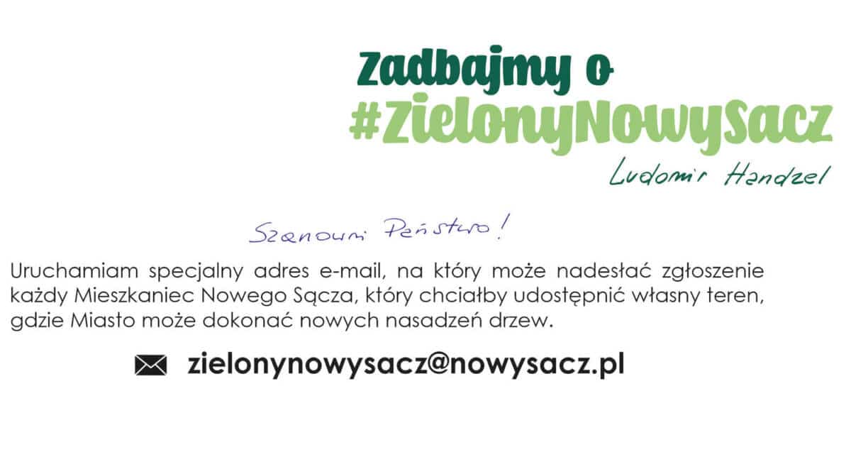 zielony Nowy Sącz