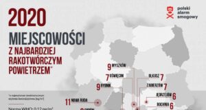 Polski Alarm Smogowy: Nowy Sącz wciąż w czołówce najbardziej zanieczyszczonych miast