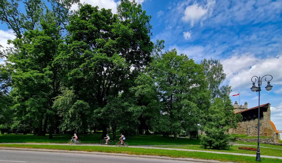 Park im. Ireny Styczyńskiej w Nowym Sączu