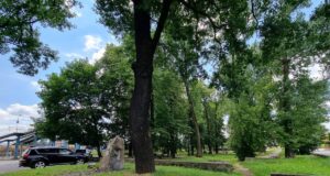 park kolejowy w Nowym Sączu