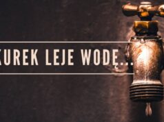 Kurek leje wodę