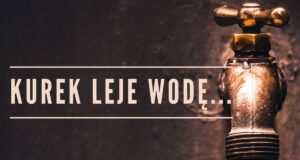 Kurek leje wodę