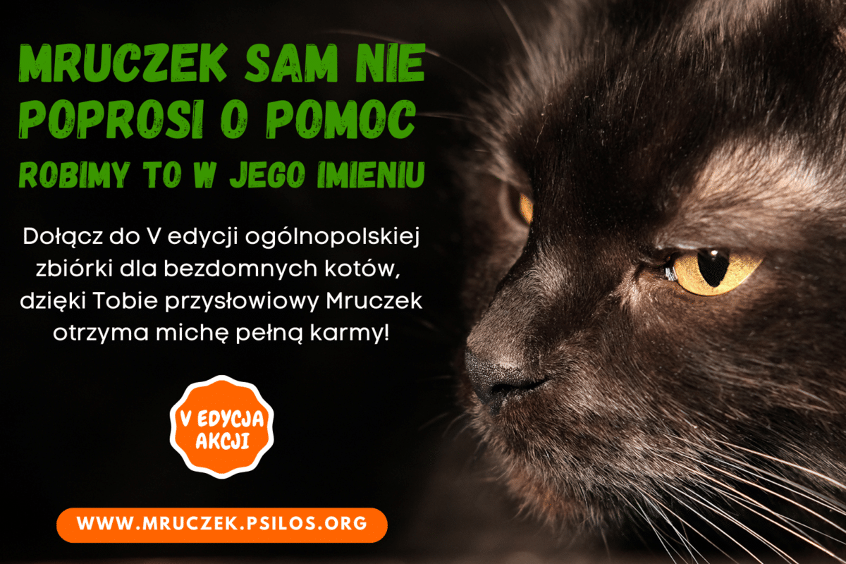 zbiórka na zakup karmy TOZ Nowy Sącz