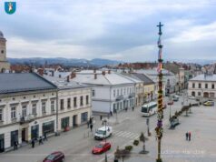 Palma wielkanocna jak zwykle stanęła pod ratuszem