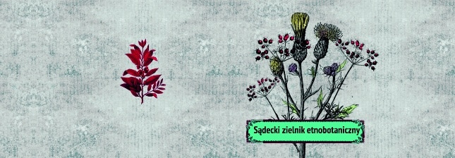 Sądecki zielnik etnobotaniczny