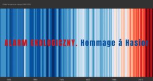 Hommage Hasior