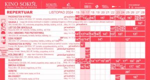Sokół 15.11-28.11.24