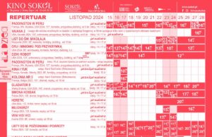 Sokół 15.11-28.11.24