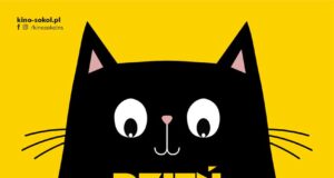 dzień kota 2025, kino Sokół Nowy Sącz