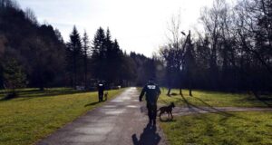Policjanci prewencji Nowy Sącz podsumowali 2024 rok. Policjanci z psami służbowymi